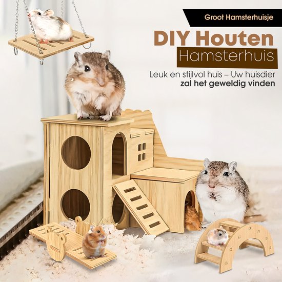 Cavia's: wat ze zijn, soorten en zorg om als huisdier te hebben