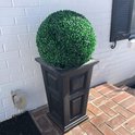 Een grote, ronde buxusbol in een rechthoekige zwarte sierpot tegen een witte bakstenen muur.