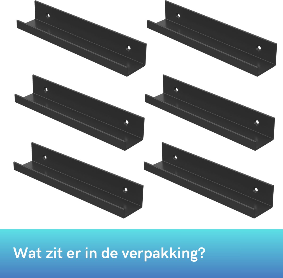 Differnz Toiletborstelhouder Tobo met Wandhouder Zwart