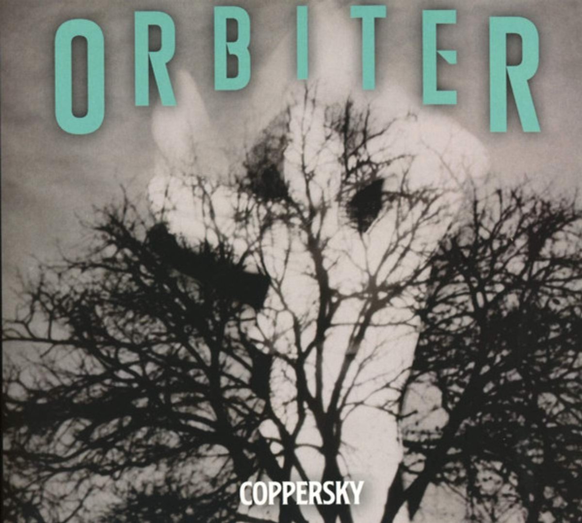 Orbiter - Coppersky