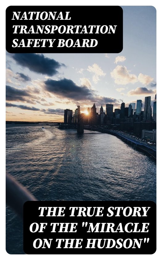 The True Story of the "Miracle on the Hudson" - cover