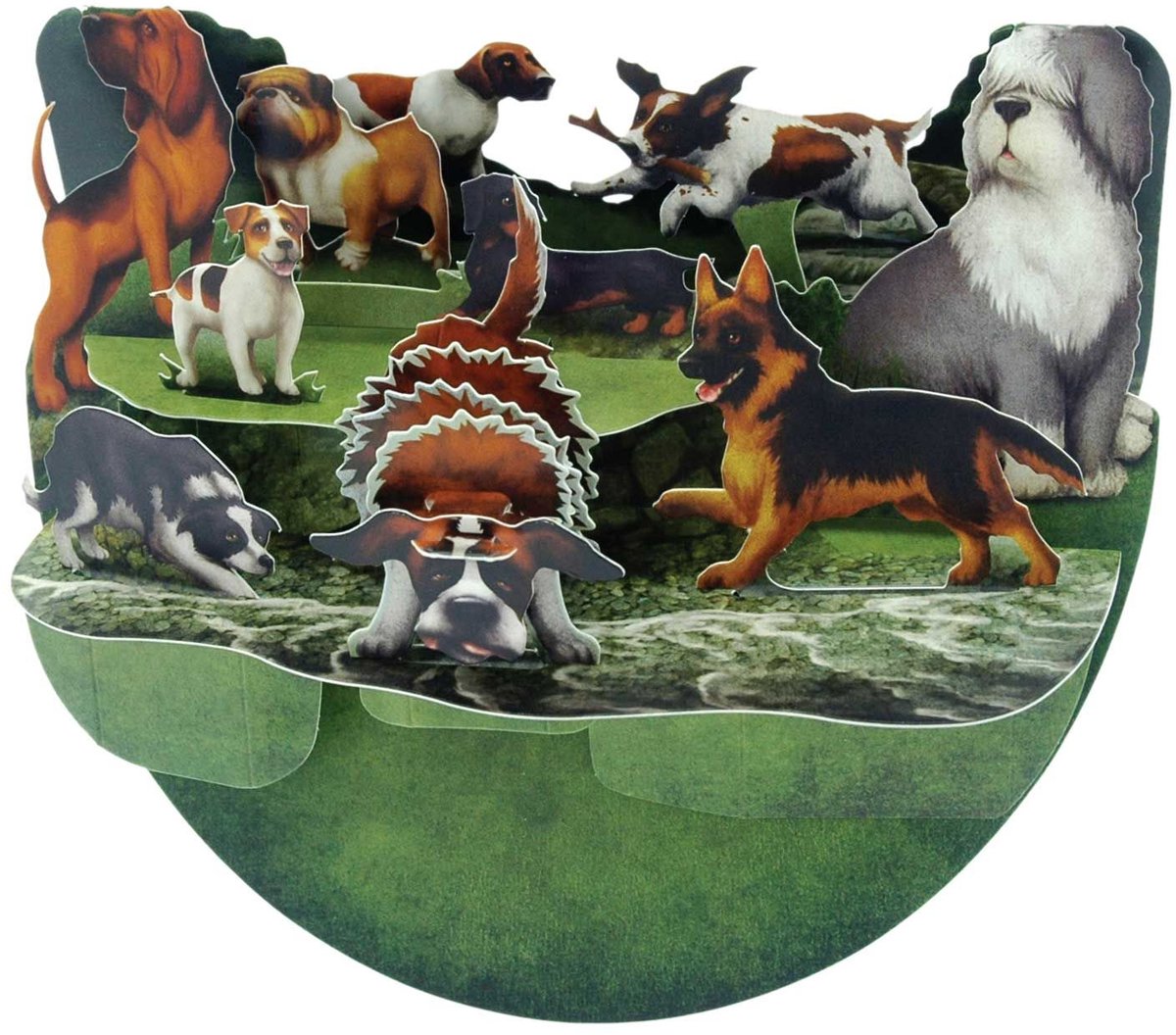 3D Popnrock - Wenskaart - PR056 - Dog Breeds
