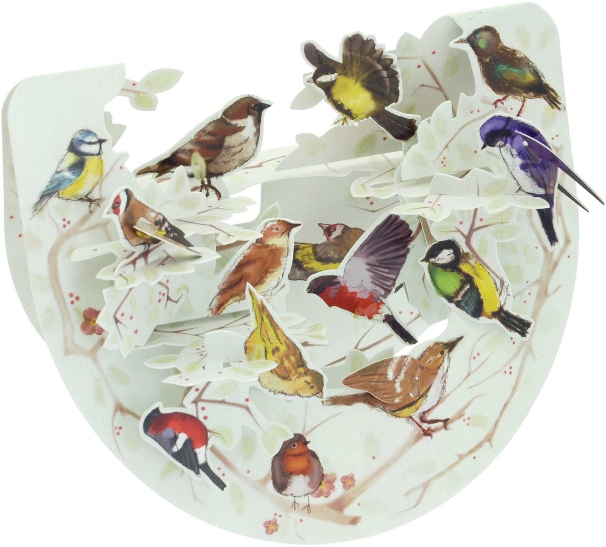 3D Popnrock - Wenskaart - PR068 - Garden Birds