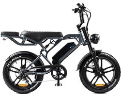 Fatbike - Donkergrijs - 250W - Met Garantie - Model 2025 - Gratis gemonteerd