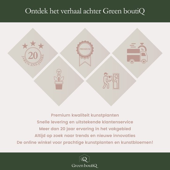 Green Boutiq : 20 ans d'expérience, plantes artificielles premium, livraison rapide. Icônes pour la qualité, les plantes, le transport et le service.