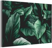 Décoration murale Métal - Peinture Aluminium Industriel - Jungle - Feuilles - Tropical - Plantes - Nature - 180x120 cm - Dibond - Photo sur aluminium - Décoration murale industrielle - Pour le salon / chambre