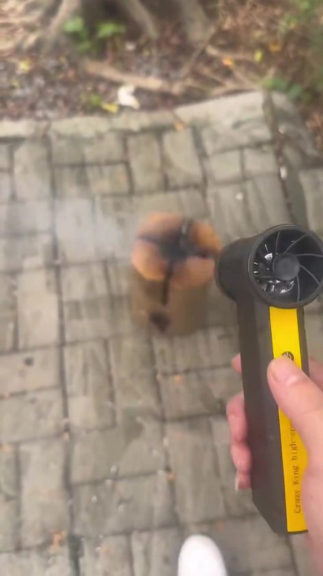 Electric Air Blower Turbo JetFan 160000RPM Brushless Motor