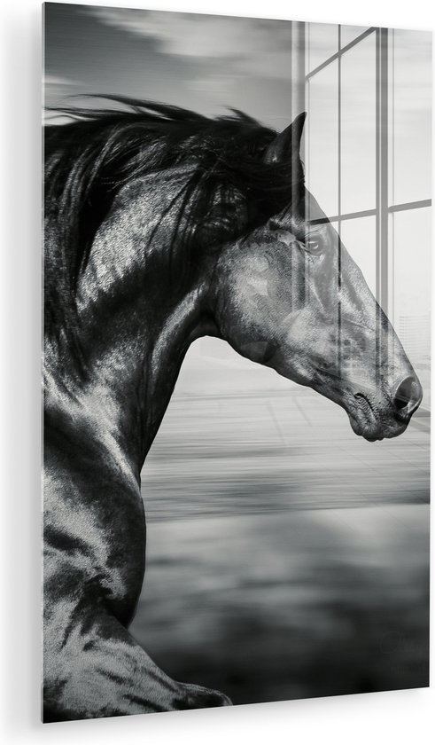 MuchoWow - Peinture sur verre - Photo sur verre - Verre acrylique - Animaux - Cheval - Nature - Zwart et blanc - Décoration murale - 80x120 cm - Peinture cheval - Peintures de salon