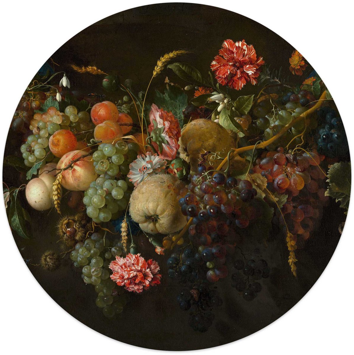 Glasschilderij De Heem - Guirlande van vruchten - Ø 50 - Glas - REINDERS