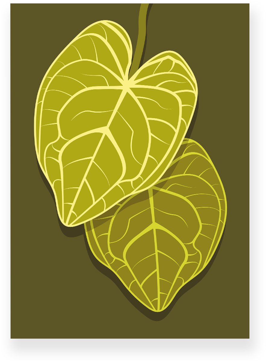 Yisual Poster 20x30 cm - Anthurium Bladeren - Planten - Groen - Kaki - Botanisch - Minimalistisch - Muurdecoratie - Wanddecoratie