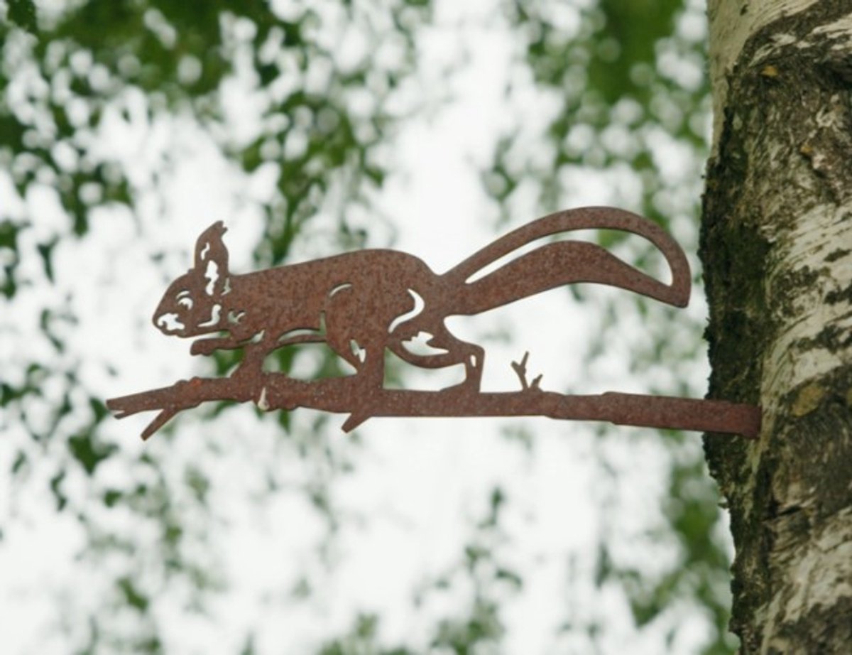 metalendier - tuinbeeld - eekhoorn - cortenstaal - NL fabrikaat