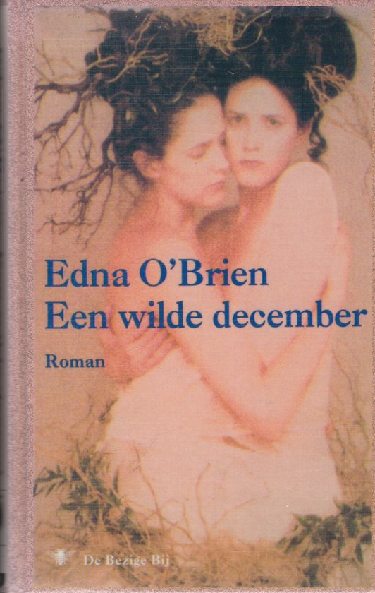 Een wilde december