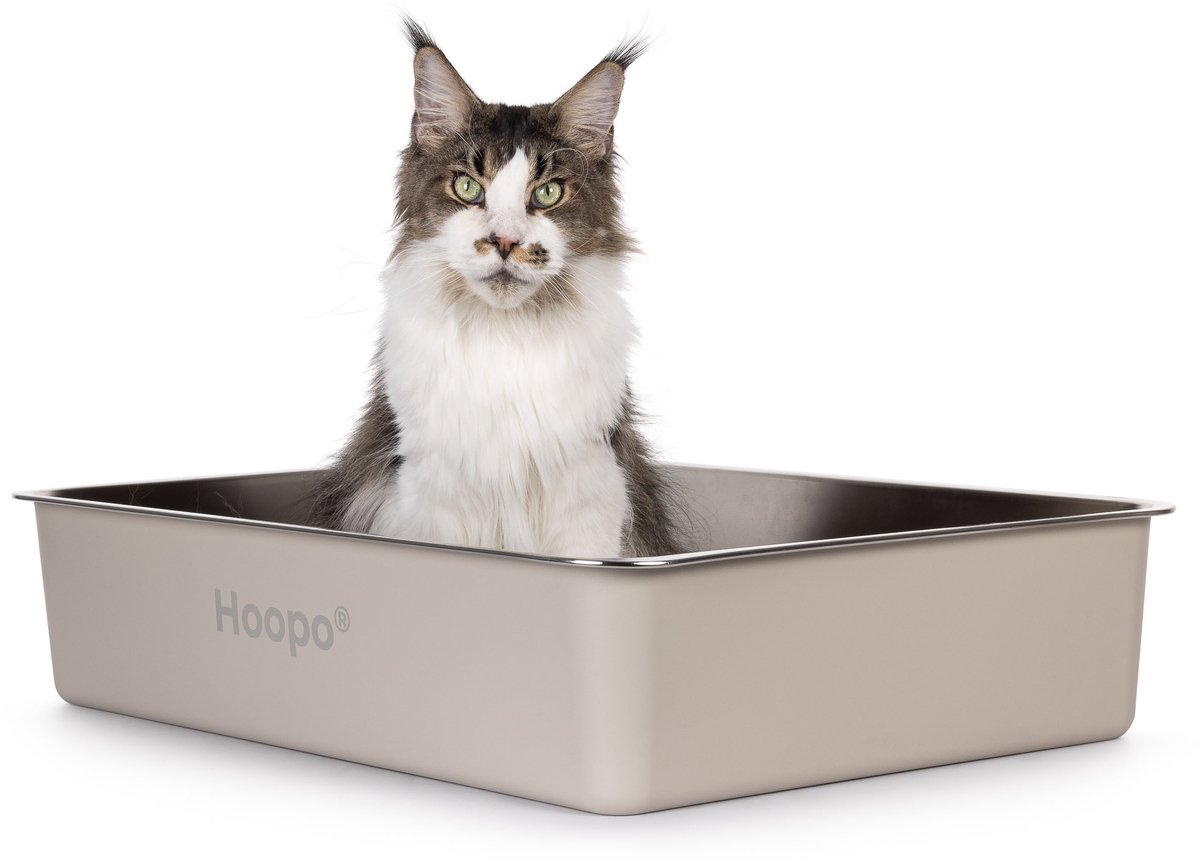 Hoopo Pool XXL Kattenbak