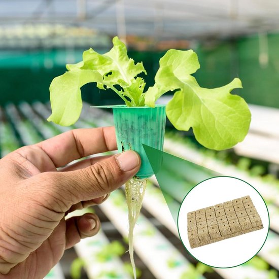 Gativs Steenwol 50 stuks Steenwol Aanplant Rockwool Cube Steenwol Plugs Steenwol Plantenstopfen Steenwol Cube Hydrocultuur Zaailing Steenwol voor de Uizaai Steenwol Kubus Aanplantgrond