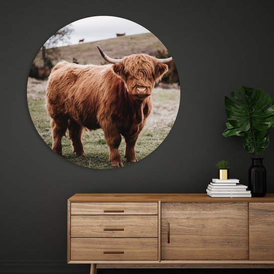 Saammp Cercle Mural Bois - Groupe Vaches Highlander Écossaises sur les hautes terres - Animaux - Nature - Ø 60 - Cercle Mural - Cercle Décoration murale - Décoration Murale Salon - Décoration Chambre - Tableau Rond