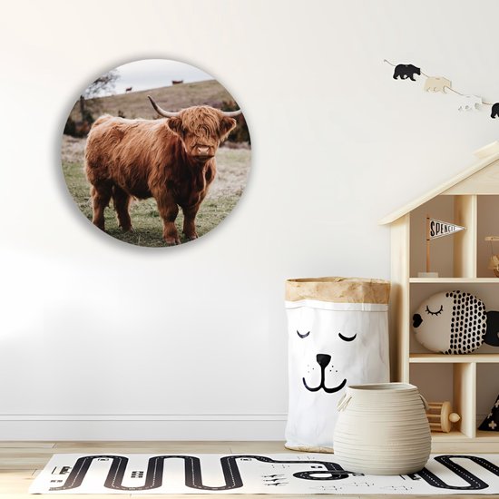 Saammp Cercle Mural Bois - Groupe Vaches Highlander Écossaises sur les hautes terres - Animaux - Nature - Ø 60 - Cercle Mural - Cercle Décoration murale - Décoration Murale Salon - Décoration Chambre - Tableau Rond
