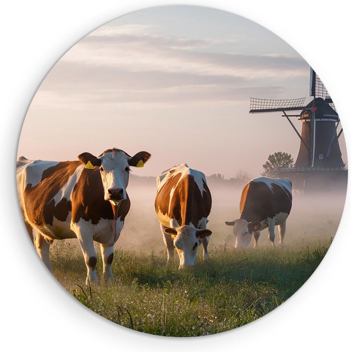 Saammp Muurcirkel Hout - Groep koeien in de mist - Natuur - Dieren - Ø 50 - Wandcirkel - Wanddecoratie Cirkel - Muurdecoratie Woonkamer - Slaapkamer decoratie - Rond Schilderij