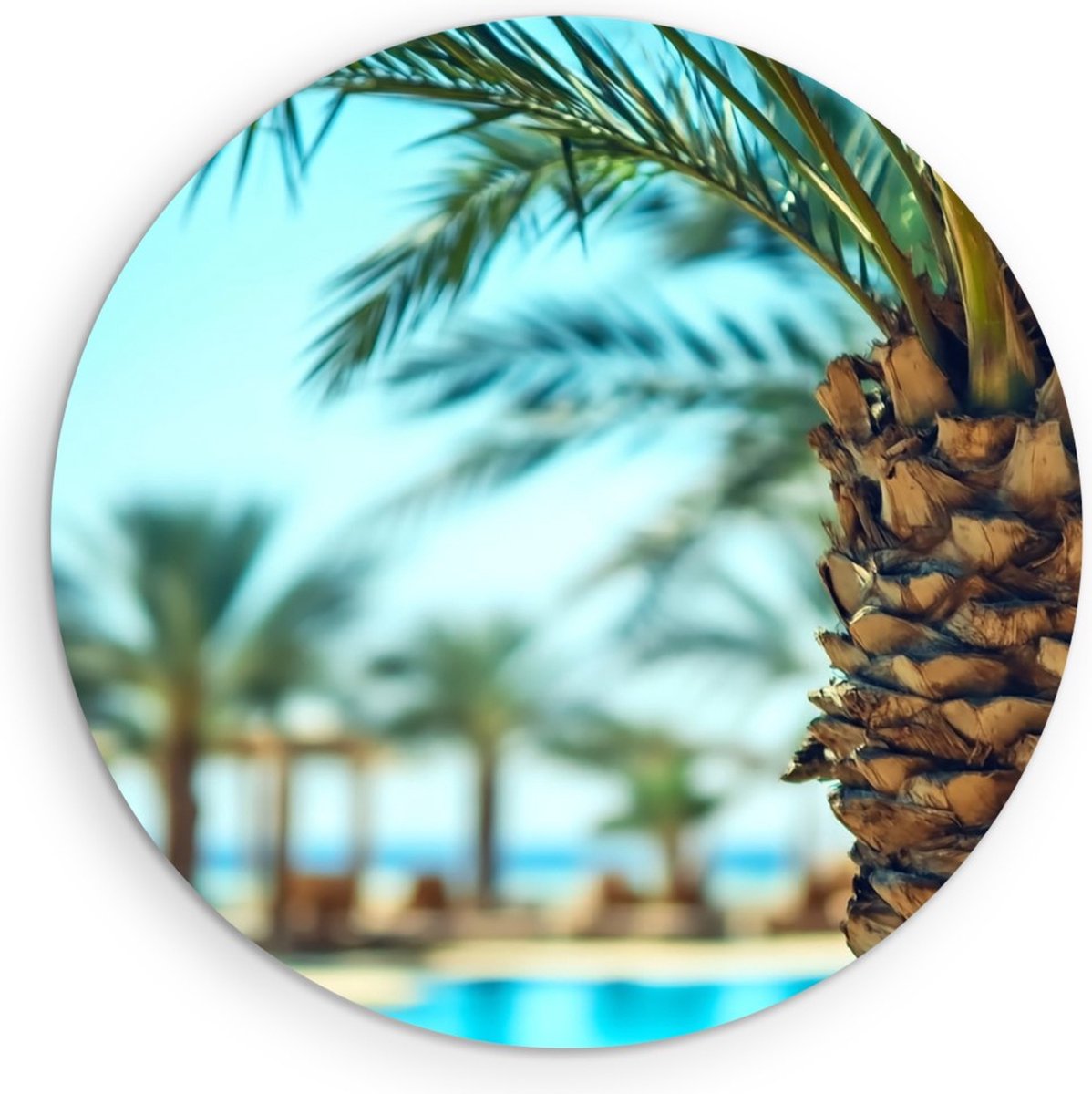 Saammp Forex Muurcirkel - Natuur - Palmboom - landschap - Ø 60 - Wandcirkel - Wanddecoratie Cirkel - Muurdecoratie Woonkamer - Slaapkamer decoratie - Rond Schilderij
