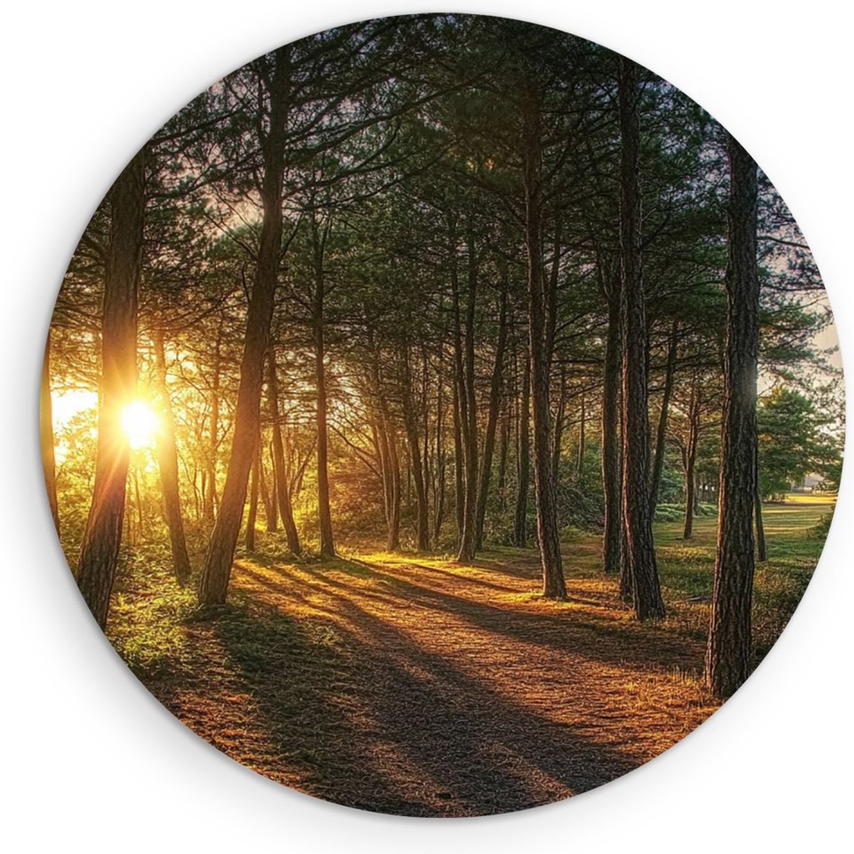Saammp Forex Muurcirkel - Natuur - Zonsondergang - Landschap - Ø 30 - Wandcirkel - Wanddecoratie Cirkel - Muurdecoratie Woonkamer - Slaapkamer decoratie - Rond Schilderij