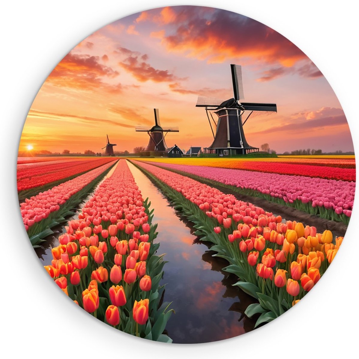 Saammp Forex Muurcirkel - Landschap - bloemenveld met molens en een zonsondergang - Natuur - Ø 70 - Wandcirkel - Wanddecoratie Cirkel - Muurdecoratie Woonkamer - Slaapkamer decoratie - Rond Schilderij