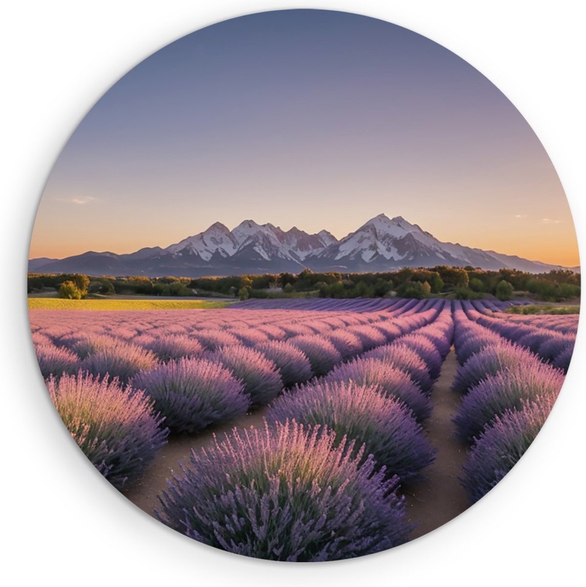 Saammp Muurcirkel Hout - Lavendelveld met bergachtig landschap - Natuur - Ø 80 - Wandcirkel - Wanddecoratie Cirkel - Muurdecoratie Woonkamer - Slaapkamer decoratie - Rond Schilderij