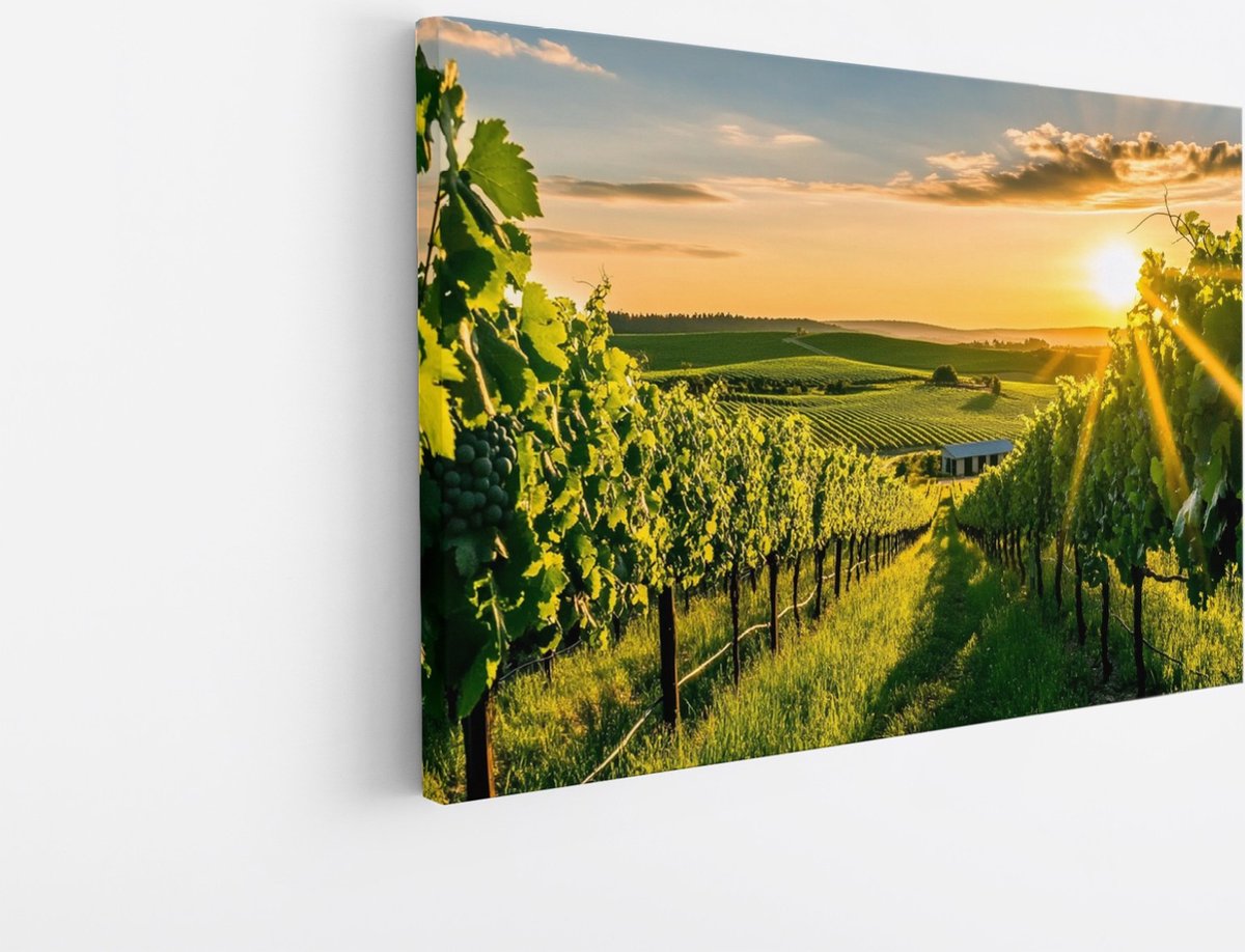 Saammp Canvas Schilderij - Wijngaarde met zonsondergang - Natuur - Landschap - 60x40 - Foto op canvas - Wanddecoratie - Muurdecoratie Woonkamer - Slaapkamer decoratie - Canvas Print Multicolor