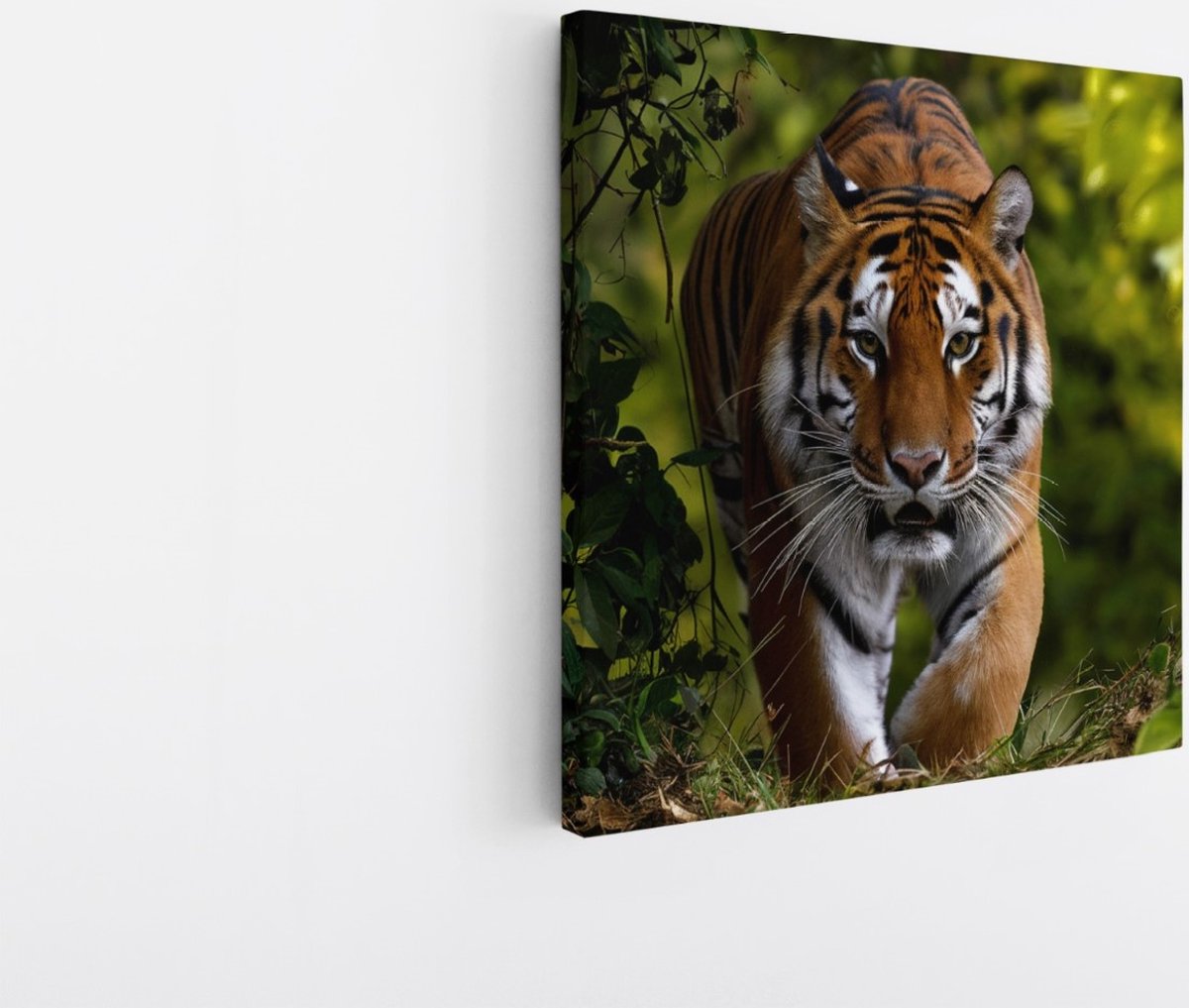Saammp Canvas Schilderij - Tijger tussen de bladeren - Natuur - Dieren - 20x20 - Foto op canvas - Wanddecoratie - muurdecoratie Woonkamer - Slaapkamer decoratie - Canvas Print Multicolor