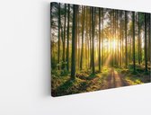 Saammp Canvas Schilderij - Zon tussen de hoge bomen - Natuur - Landschap - 90x60 - Foto op canvas - Wanddecoratie - Muurdecoratie Woonkamer - Slaapkamer decoratie - Canvas Print