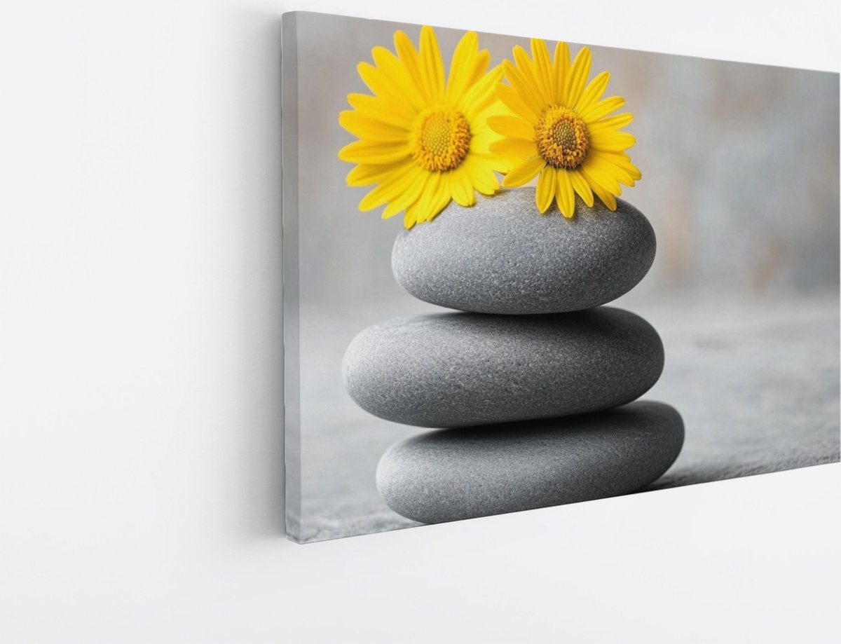 Saammp Canvas Schilderij - Gele bloemen op stenen - Natuur - Landschap - 70x50 - Foto op canvas - Wanddecoratie - Muurdecoratie Woonkamer - Slaapkamer decoratie - Canvas Print Multicolor