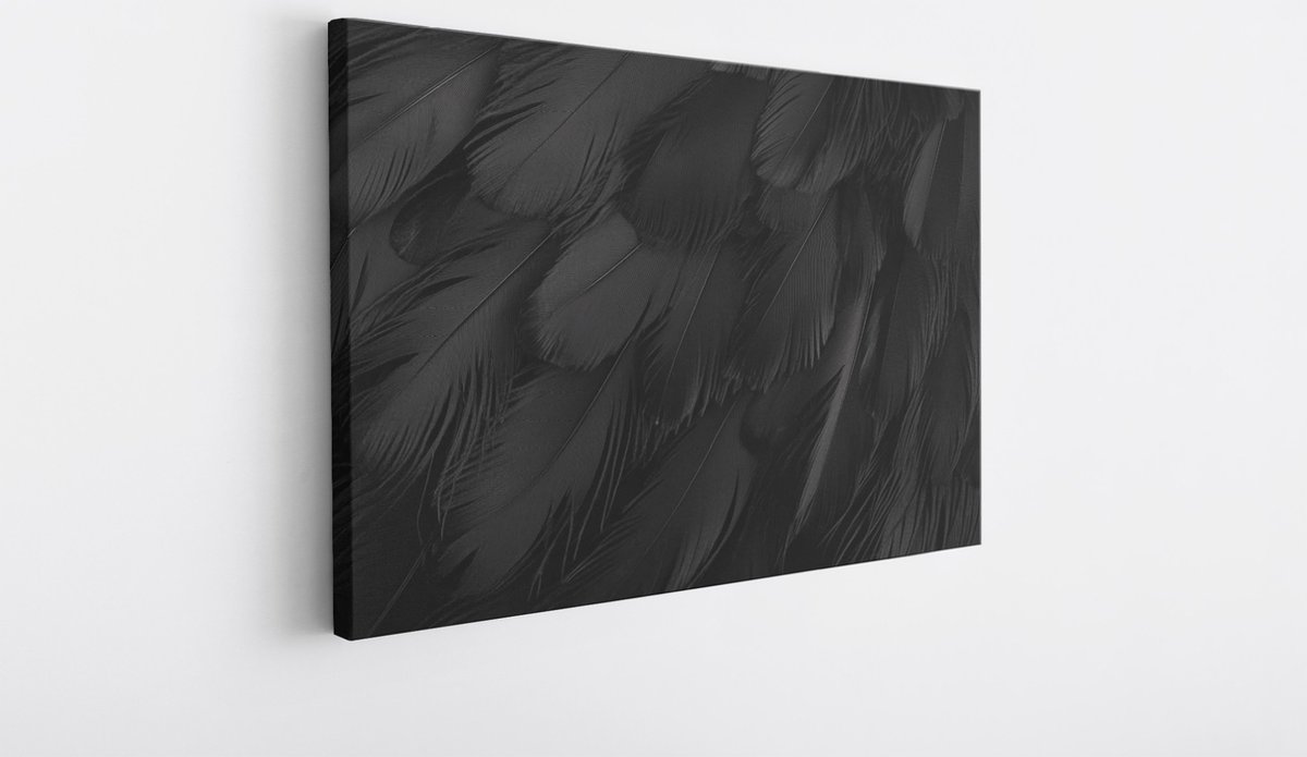 Saammp Canvas Schilderij - Zwarte veren - Abstract kunstwerk - 90x60 - Foto op canvas - Wanddecoratie - Muurdecoratie Woonkamer - Slaapkamer decoratie - Canvas Print Multicolor