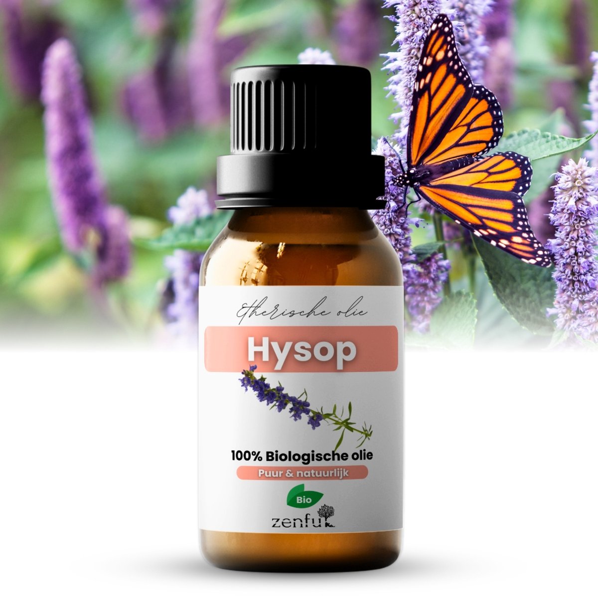 Goedkoopste Hysop olie - Bio & Puur - Etherische olie - 5ml