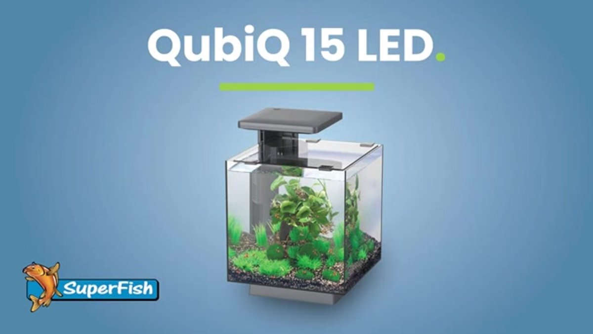 Superfish Qubic 15 LED Aquarium