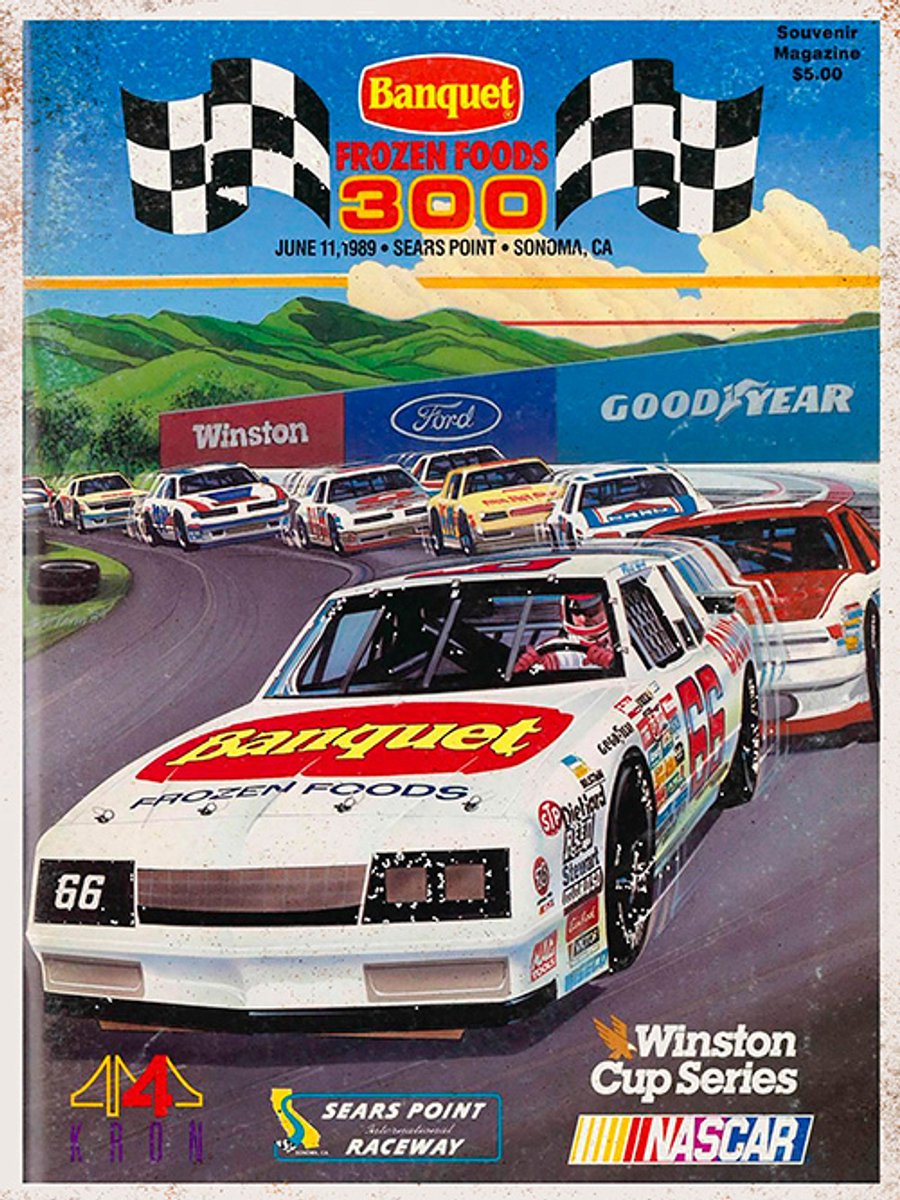 Signs-USA Auto - Garage Sign - metaal - Nascar 1989 - 30 x 40 cm Multicolor