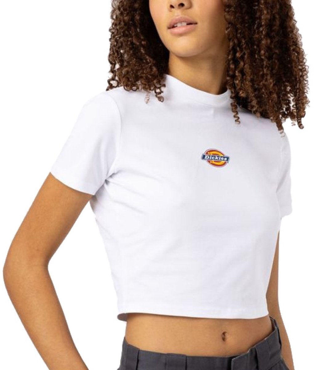 DICKIES MAPLE VALLEY REG TEE S EU Wit