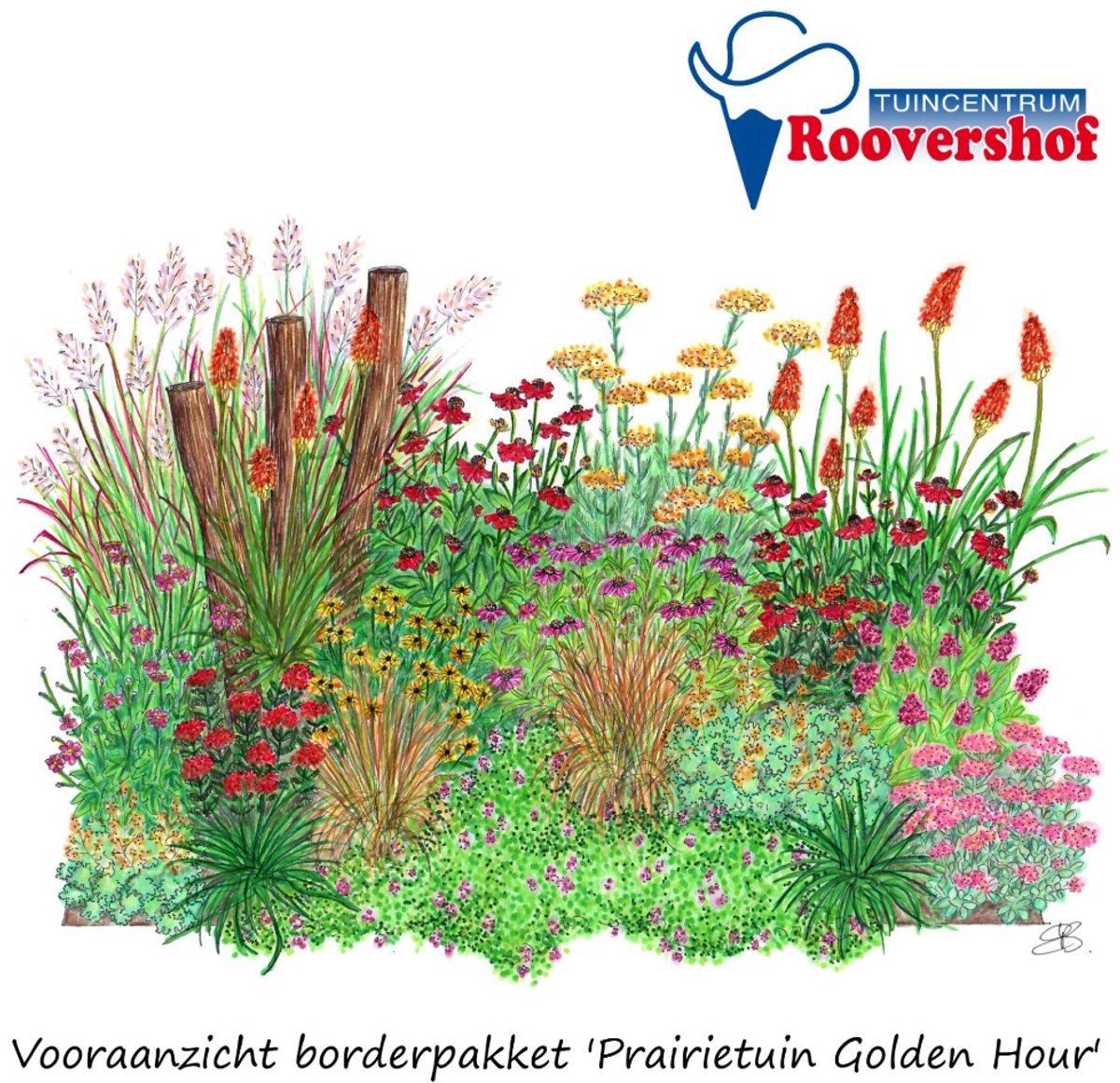 Borderpakket 'Golden Hour' - prairietuin - 48 planten - 7-8 m² - exclusief palen