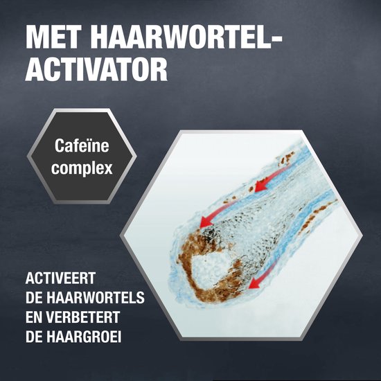 Alpecin Cafeïne Liquid Hair Tonic 2x 200ml | Voorkomt haaruitval en ondersteunt de haargroei | Voor alle haar en hoofdhuid types