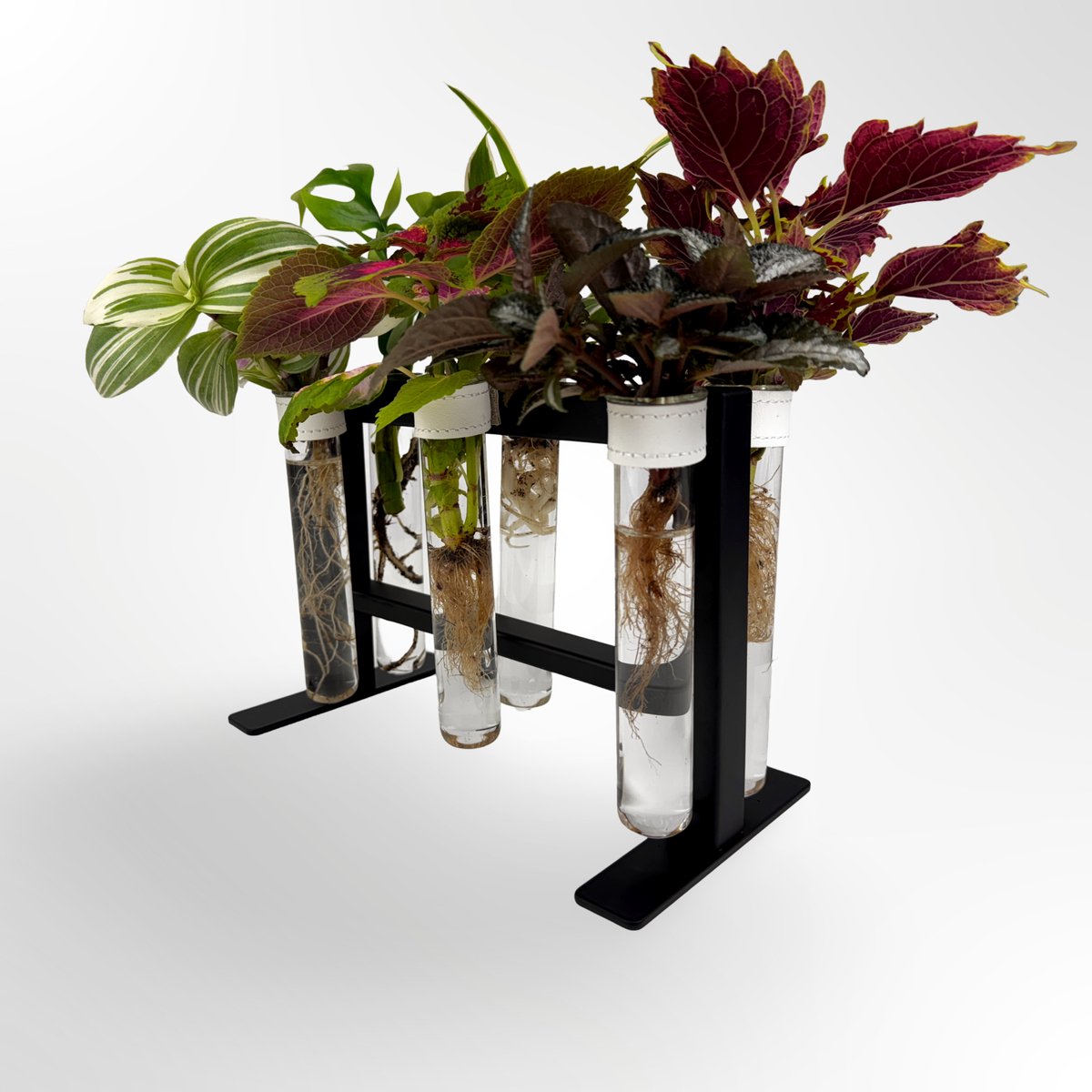 TWILG - magnetische vaasjes met zwart stijlvol rekje en stekstation - Wit - 6-delige set voor muur en tafel, inclusief N52 magneten en originele muuroplossing voor stekjes
