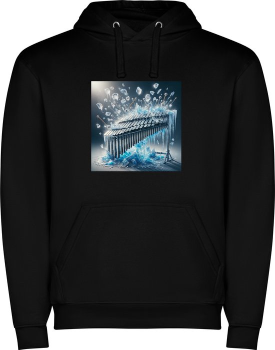 Foto: Zwarte unisex hoodie met kleurrijke xylofoon muziekinstrument muziek feest print full color color merk roly maat s