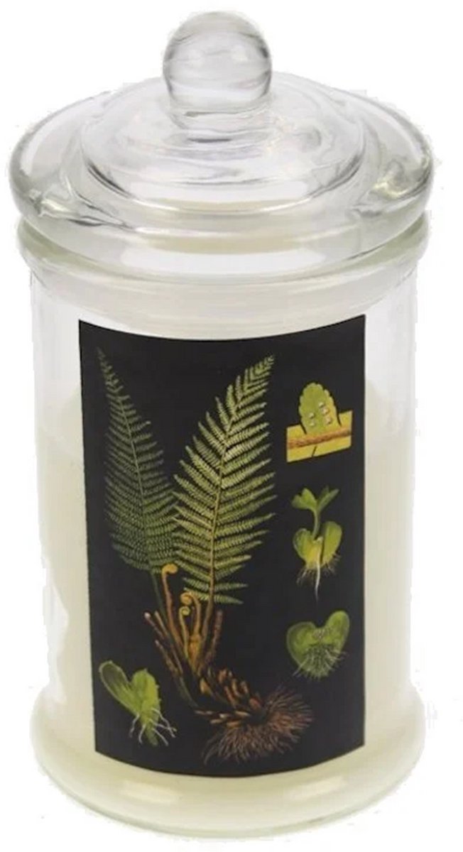 Glass jar with Candle lid, ferns Ø7,5x16cm lavender