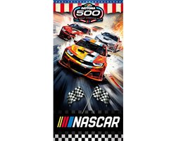 Signs USA - wandbord - dibond - Nascar - 45 x 90 cm - Daytona Finish Flags