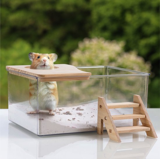 Hamster Klein Huisdier Zand Badkamer Grote Plastic Kamer Sauna Toilet Bad Hamster Klein Huisdier Hamster Klein Huisdier Zand Badkamer Grote Plastic Kamer Sauna Toilet Bad Hamster Klein Huisdier