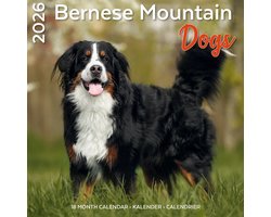 Berner Sennen Kalender 2026