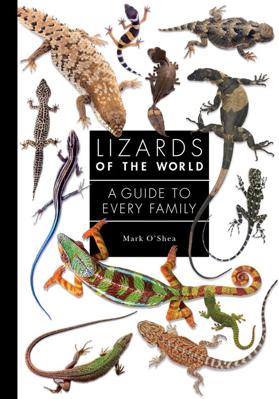 A Guide to Every Family- Lizards of the World
