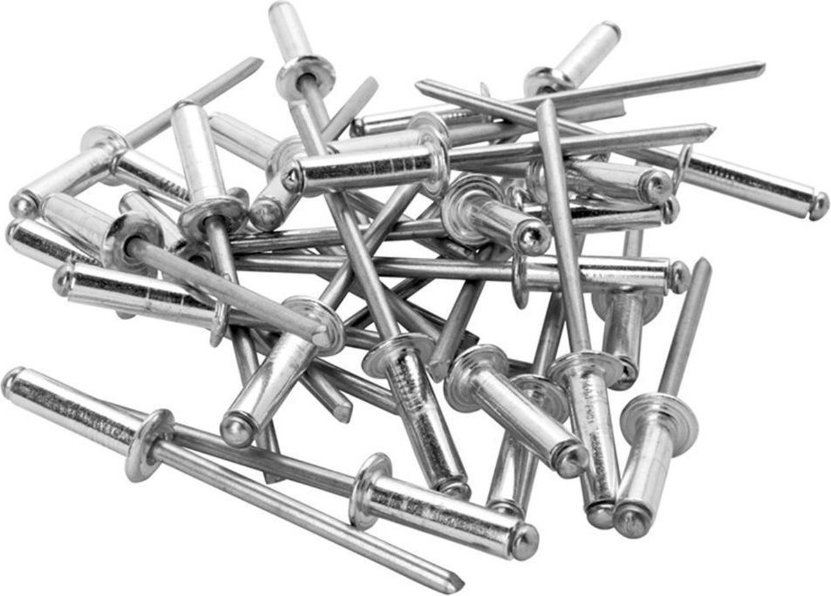 Rapid blindklinknagel rvs + drill 48x10mm (50st)