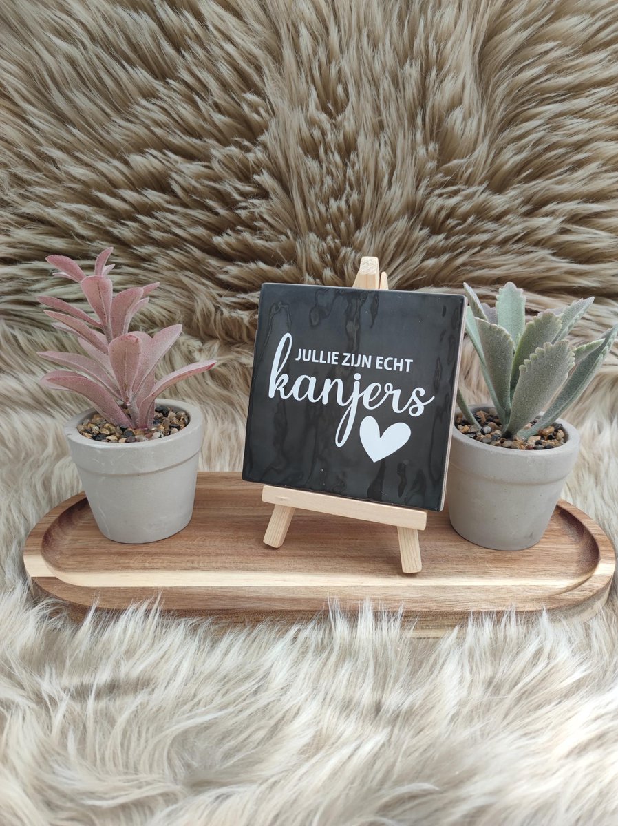 Robuust Wenstegeltje – Jullie Zijn Echt Kanjers – Hip trendy tegeltje – 10x10 cm – Bedankje voor Zorghelden, Team of Collega’s – Stoere en Betekenisvolle Wanddecoratie – Trendy nu – Decoratief Tegeltje met Standaard – Cadeau Idee