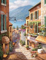 Peinture Par Numéros Adultes - Peintures à Faire Soi-même - Paon Fier - Paon - Animaux - Nature - Paysage - 40x50 cm - Toile