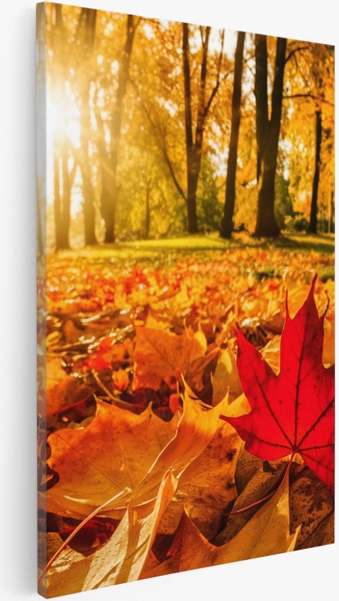 Saammp Canvas Schilderij - Rood Herfst Blad - Natuur - Bloemen - 20x30 - Foto op canvas - Wanddecoratie - Muurdecoratie Woonkamer - Slaapkamer decoratie - Canvas Print Multicolor