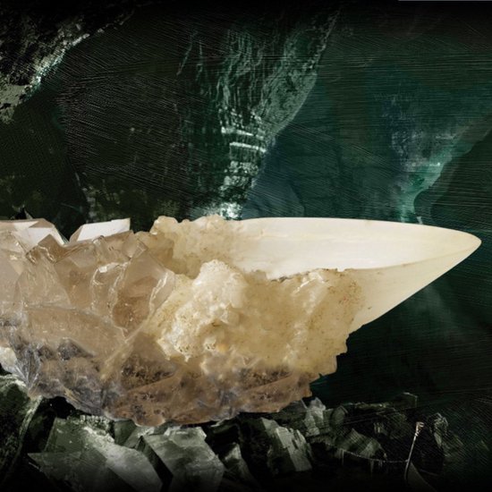 Harry Potter: la coupe de Crystal