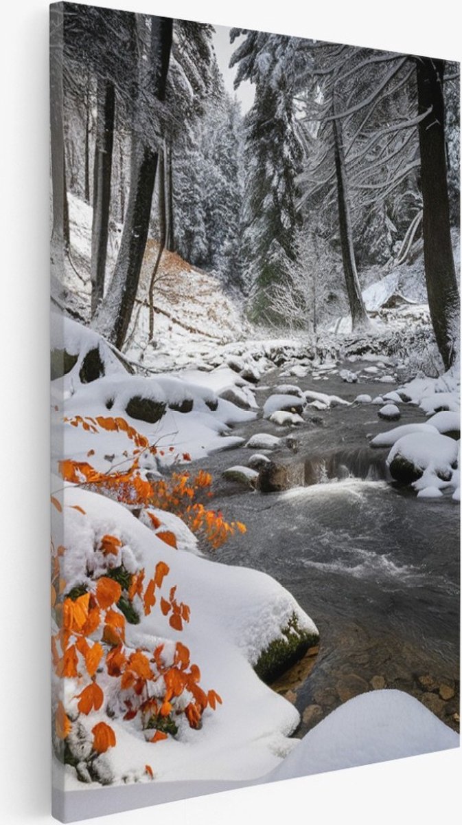 Saammp Canvas Schilderij - Beekje in de winter - Bloemen - Landschap - Natuur - 100x150 - Foto op canvas - Wanddecoratie - Muurdecoratie Woonkamer - Slaapkamer decoratie - Canvas Print Multicolor