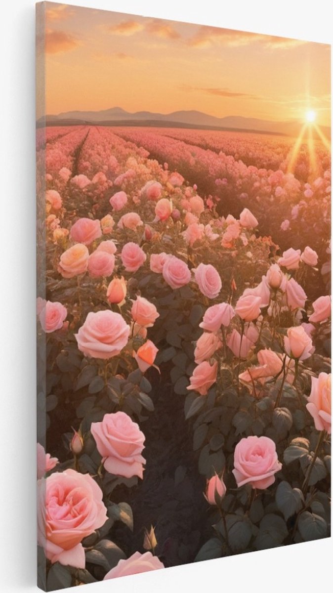 Saammp Canvas Schilderij - Landschap -Bloemen - Roze - Zonsondergang - Natuur - 75x100 - Foto op canvas - Wanddecoratie - Muurdecoratie Woonkamer - Slaapkamer decoratie - Canvas Print Multicolor